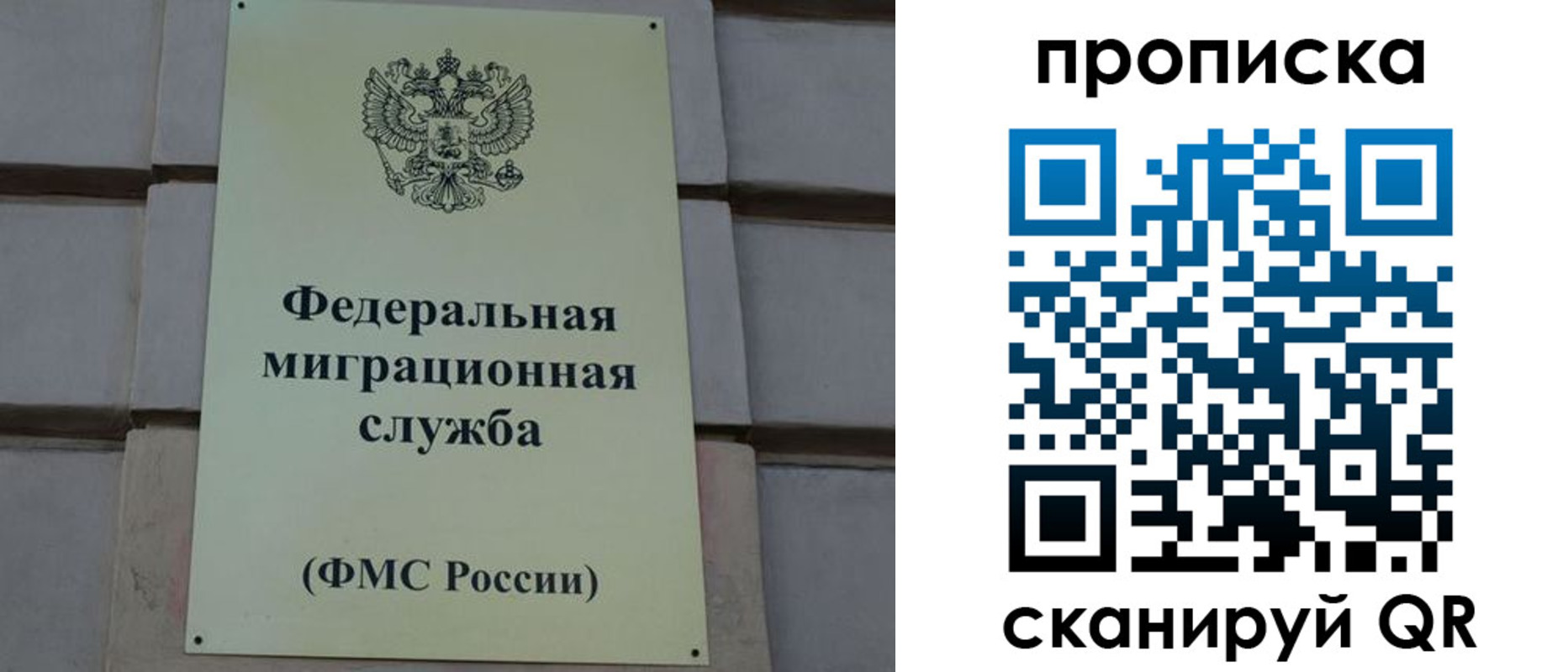 прописка поиск в Камбарке
